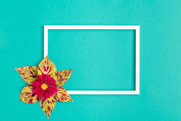 母亲节，妇女节，情人节或生日快乐。绿松石色的平铺贺卡模板与美丽的鲜花和空的画框。图片下载