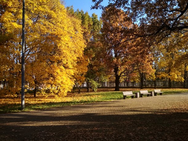 公园里的金秋图片下载