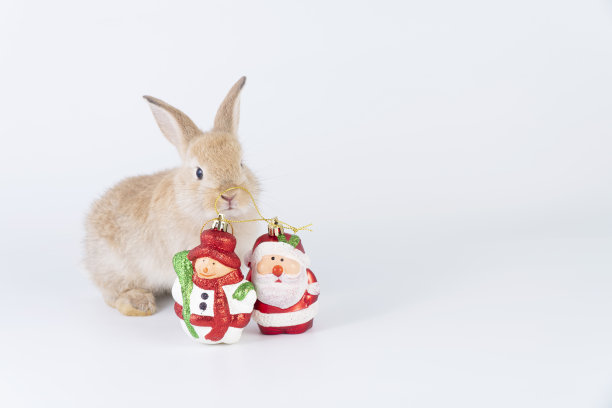 可爱的小棕兔兔与装饰圣诞老人和雪人坐在孤立的白色背景。节日喜庆、庆典、圣诞概念。图片下载