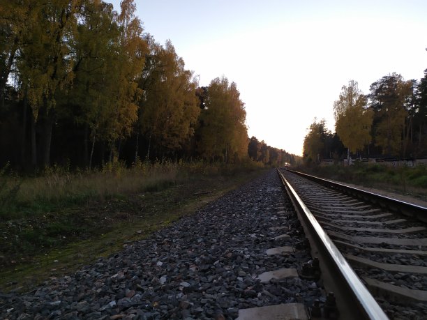 在晴朗的傍晚，火车在秋天的森林里图片下载