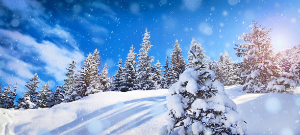 冬天霜雪天的神奇雪景。图片下载