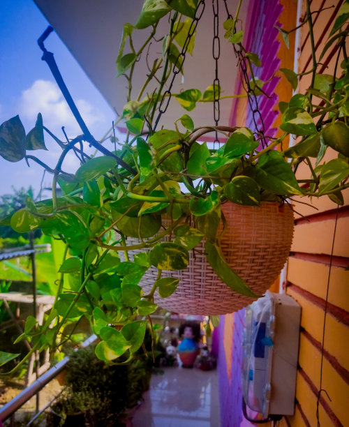 钱工厂图片下载