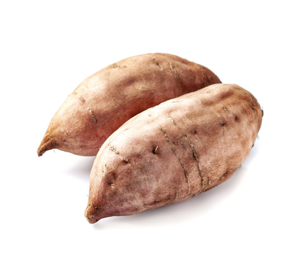 红薯图片下载