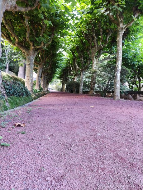 亚速尔图片下载