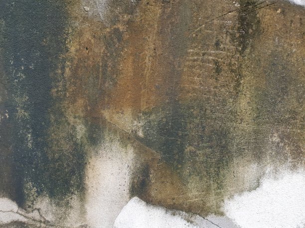 水泥墙上长满了褐色和黑色的木耳。墙又裂又旧又脏。草率的背景图片下载