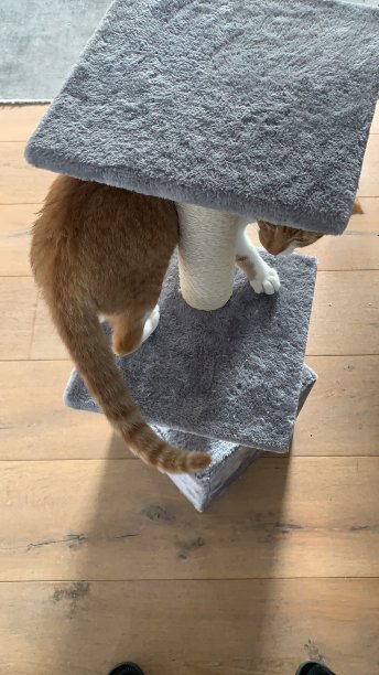 我加入了这个游戏图片下载