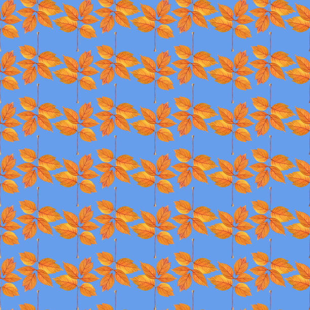 枫叶。插图，花的纹理。连续复制的无缝模式。花卉背景，照片拼贴为纺织，棉花织物。墙纸，封面，打印图片下载