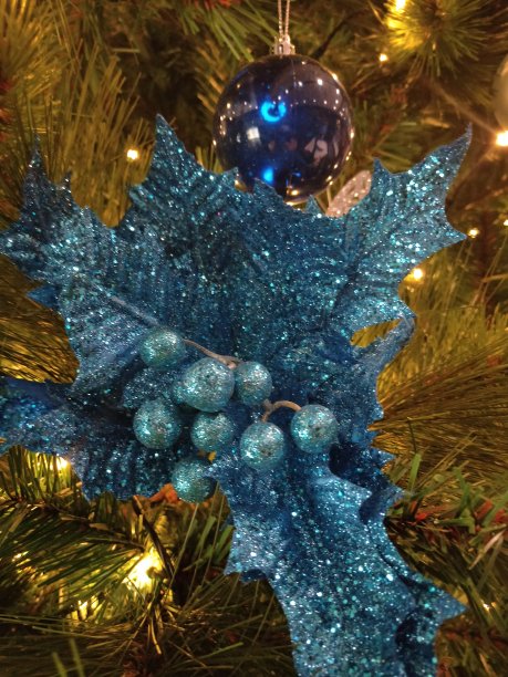 蓝色小玩意和喷雾图片下载