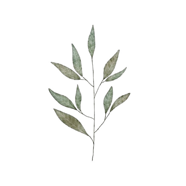 艺术和插图图片下载