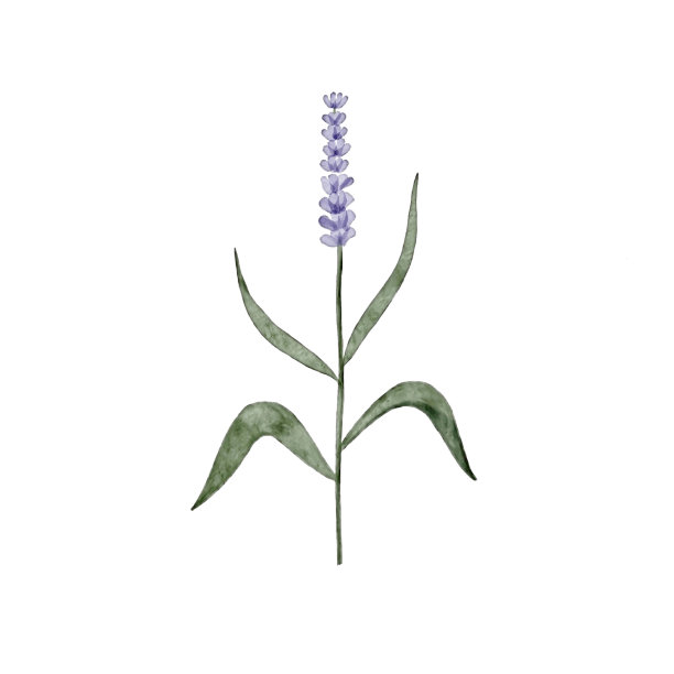 艺术和插图图片下载