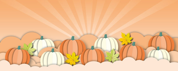 橙色背景上有彩色叶子的南瓜。图片下载