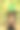 森林女巫图片下载