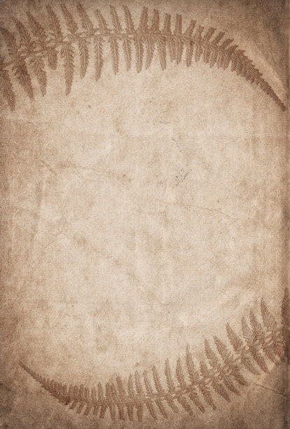 老式粗糙纸与植物浮雕纹理隔离图片下载