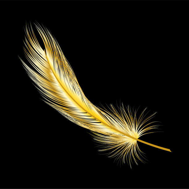 金色羽毛孤立在黑色上。图片下载