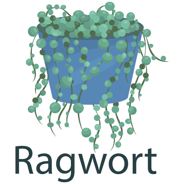 Guzmania，室内植物，花盆矢量插图中的花朵，平面风格的元素图片下载