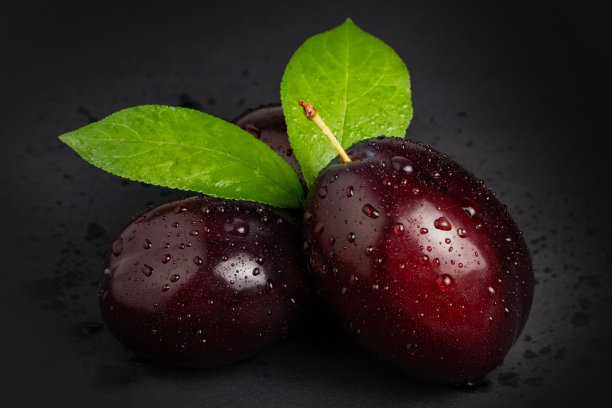 黑色背景上有梅花叶和水滴。图片下载