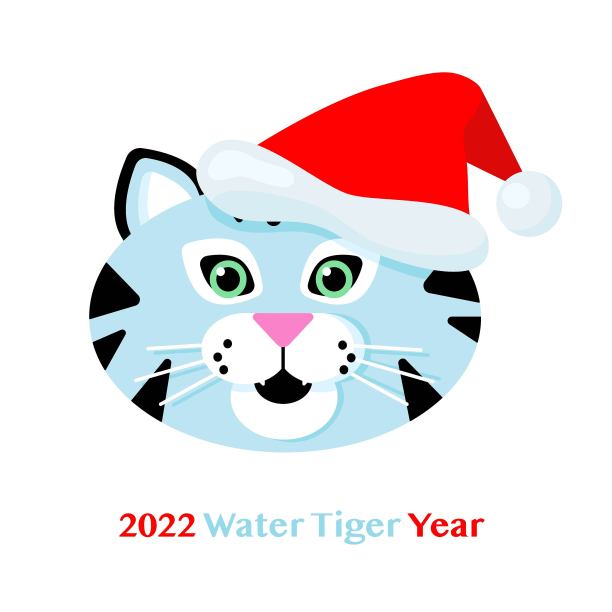 可爱的卡通虎头与圣诞帽;中国新年的象征——2022年水虎年;矢量插图孤立的白色背景图片下载
