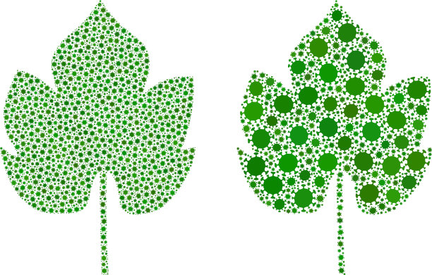 葡萄叶子图标-拼贴与新冠生物图片下载