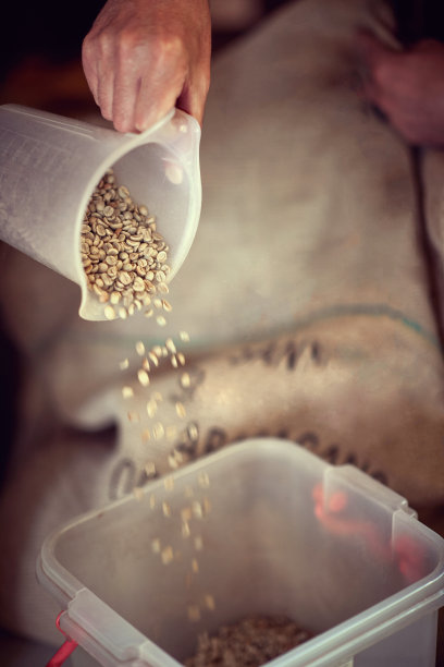 工作人员正在量新鲜咖啡以便烘焙图片下载