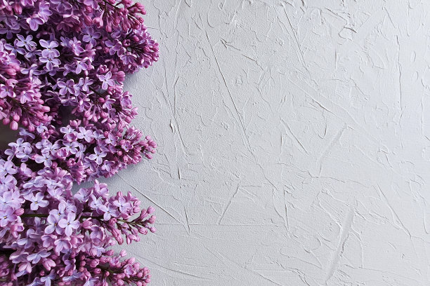 浅灰色混凝土背景上粉红色淡紫色树枝的花卉图案。带花的模型照片。花平铺，俯视图。图片下载