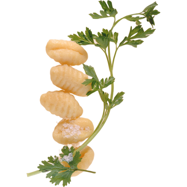 茴香上的鸡翅图片下载