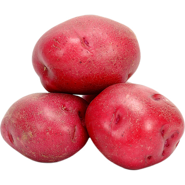 美味的红薯图片下载