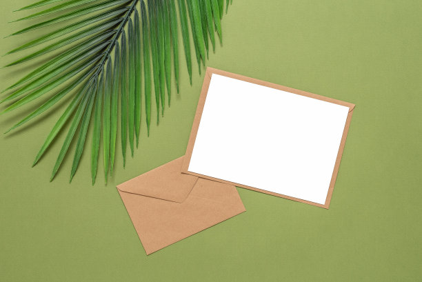 空白卡片模型，工艺信封和绿色橄榄纸背景上的人造棕榈叶。俯视图，平躺。文具热带静物图片下载