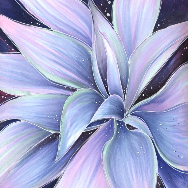 素描插图正方形，紫色和粉红色画植物学水彩标记，多肉，龙舌兰装饰植物图片下载