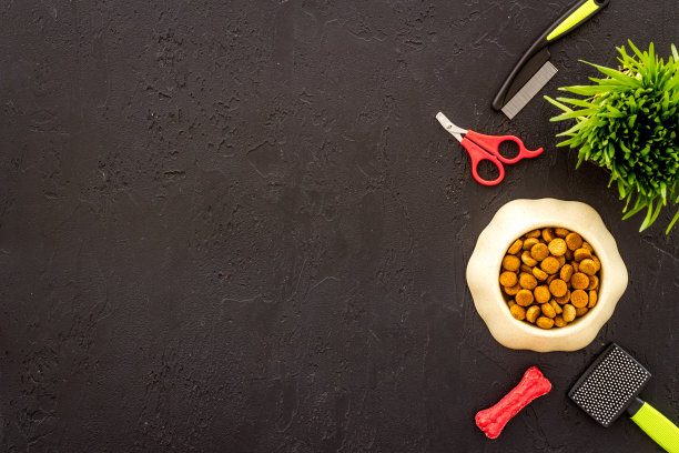 宠物配件俯视图。擦干狗粮和猫粮和玩具图片下载