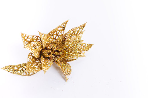 金色圣诞花与白色背景图片下载