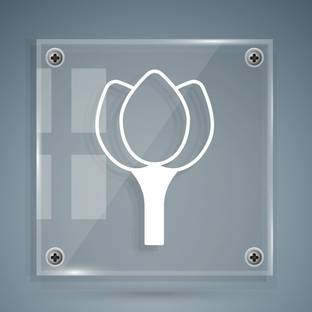 白色花朵郁金香图标孤立在灰色图片下载