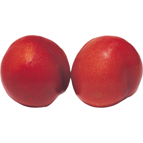 两个桃子图片下载