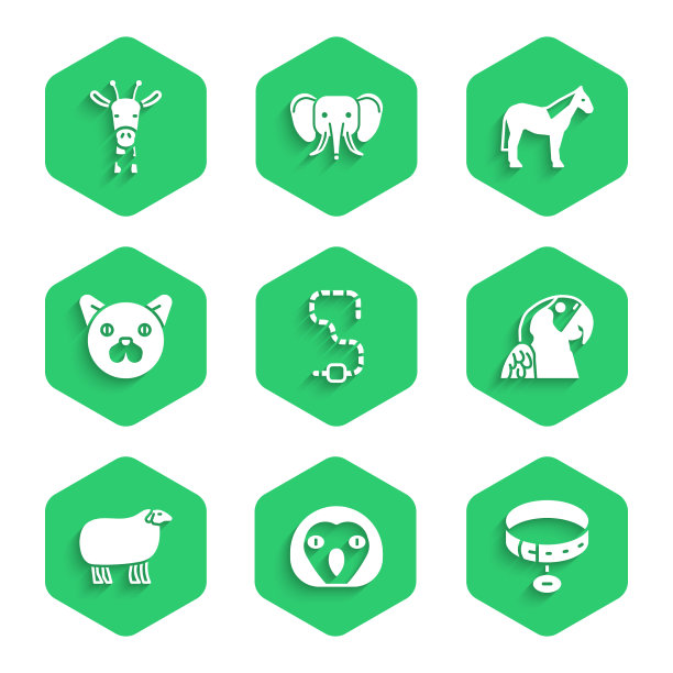 设置虫猫头鹰鸟项圈与名称标签金刚鹦鹉图片下载