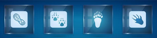 设置人类脚印鞋爪子熊爪子和图片下载