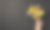 第一人称俯视图照片的手握黑色礼盒与黄色缎带蝴蝶结在闪闪发光的金色亮片与copyspace孤立的黑色背景图片下载