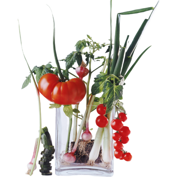 番茄大蒜洋葱图片下载