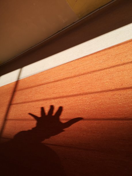 明暗对比有趣图片下载