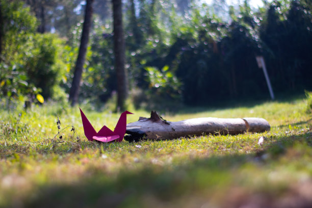 绿色草地上的纸鸟图片下载