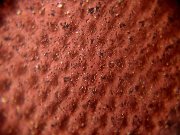 特写纹理红色背景图片下载