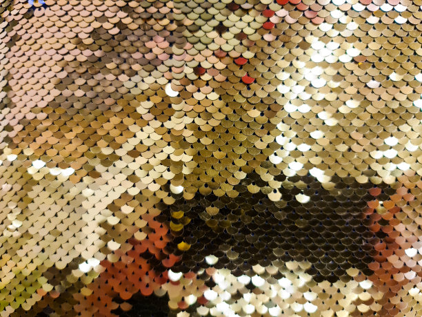 近距离观察金色亮片织物样品图片下载