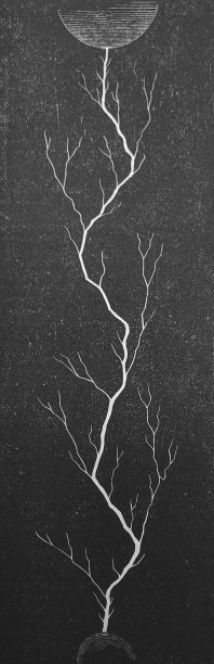 古董插图-哈珀的杂志-电火花图片下载