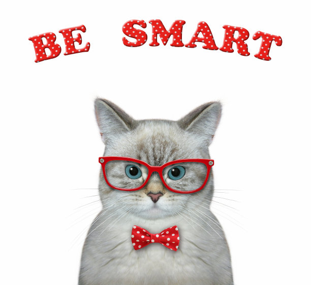 猫灰smart戴着红色的眼镜图片下载