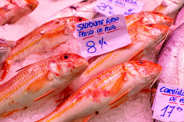 西班牙巴伦西亚梅尔卡多中心的红鲻鱼图片下载