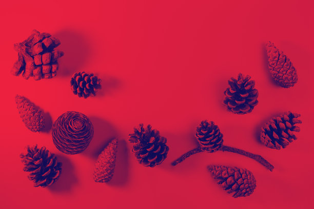 秋天的框架构图在灰色的背景上，轻松的自然工艺的孩子图片下载