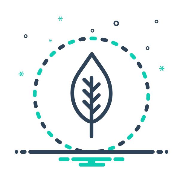 叶植物图片下载