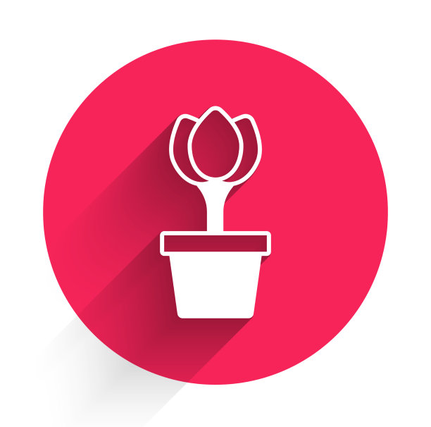 白花郁金香在花盆图标孤立与长图片下载