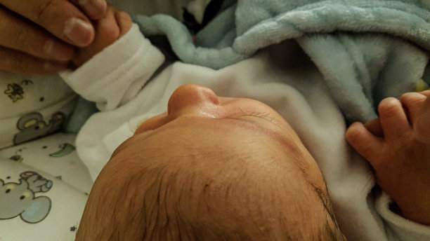 宝宝牵着父母的手，躺在窝里图片下载