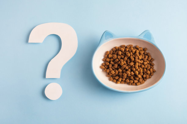 宠物营养均衡概念。图片下载