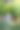 学前班的小女孩在家里的花园里种着巨大的向日葵。快乐的孩子学习园艺，种植和培育花卉和植物。儿童与生态，环境理念。图片下载