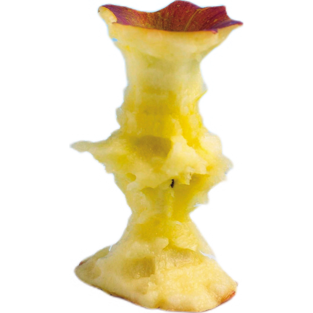 苹果核图片下载